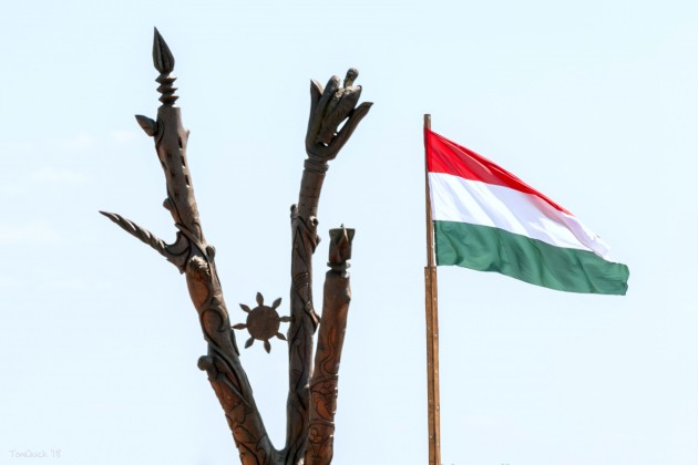 2018. évi Kurultaj - Életfa és a magyar lobogó