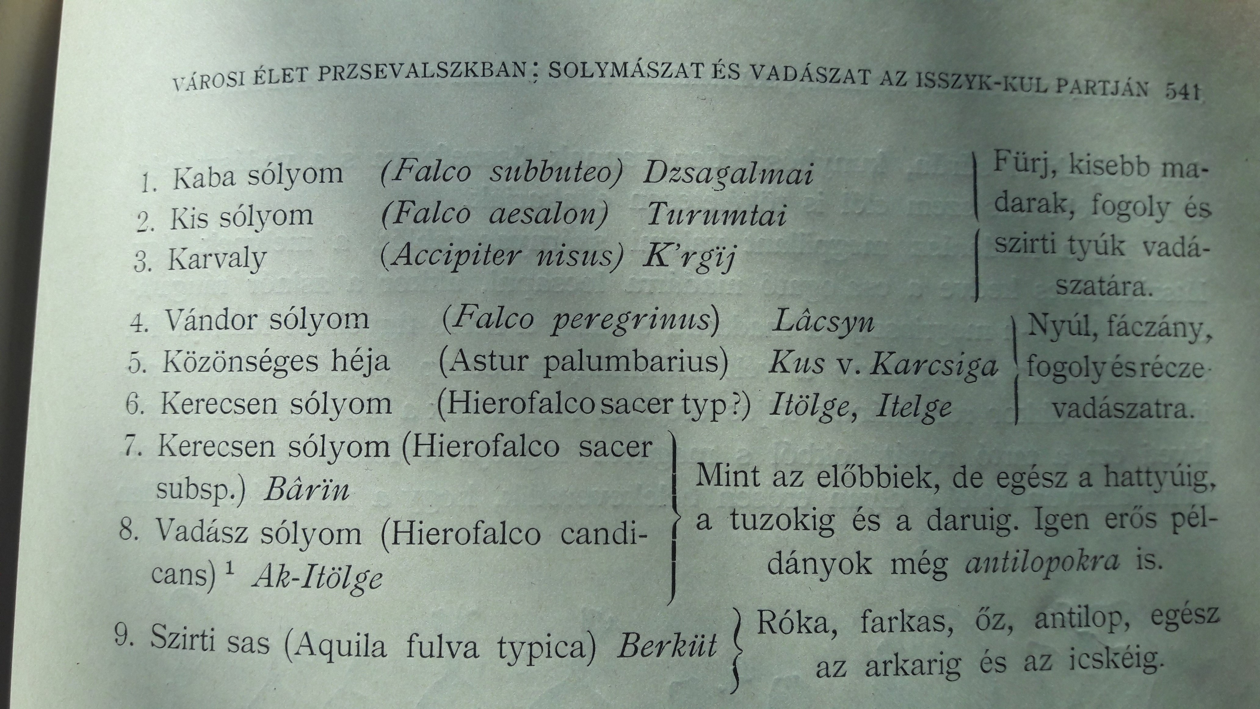 Almásy rendszerezése a 9 féle solymászmadárról