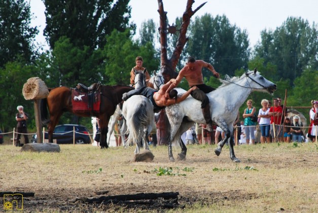 kurultaj_lovasbirkozas